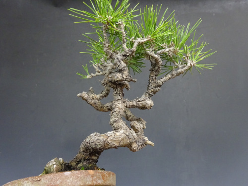 �����ޥ�