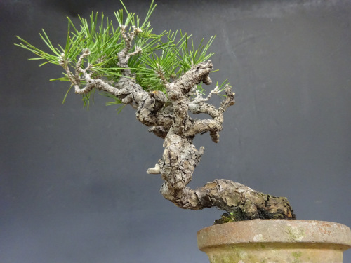 �����ޥ�