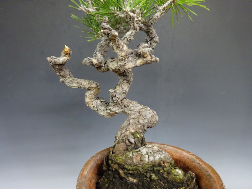 �����ޥ�